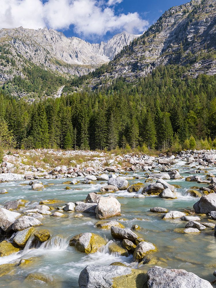 River Sarca-Val di Genova in the Parco Naturale Adamello-Brenta-Trentino-Italy-Val Rendena art print by Martin Zwick for $57.95 CAD