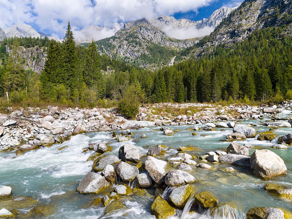River Sarca-Val di Genova in the Parco Naturale Adamello-Brenta-Trentino-Italy-Val Rendena art print by Martin Zwick for $57.95 CAD
