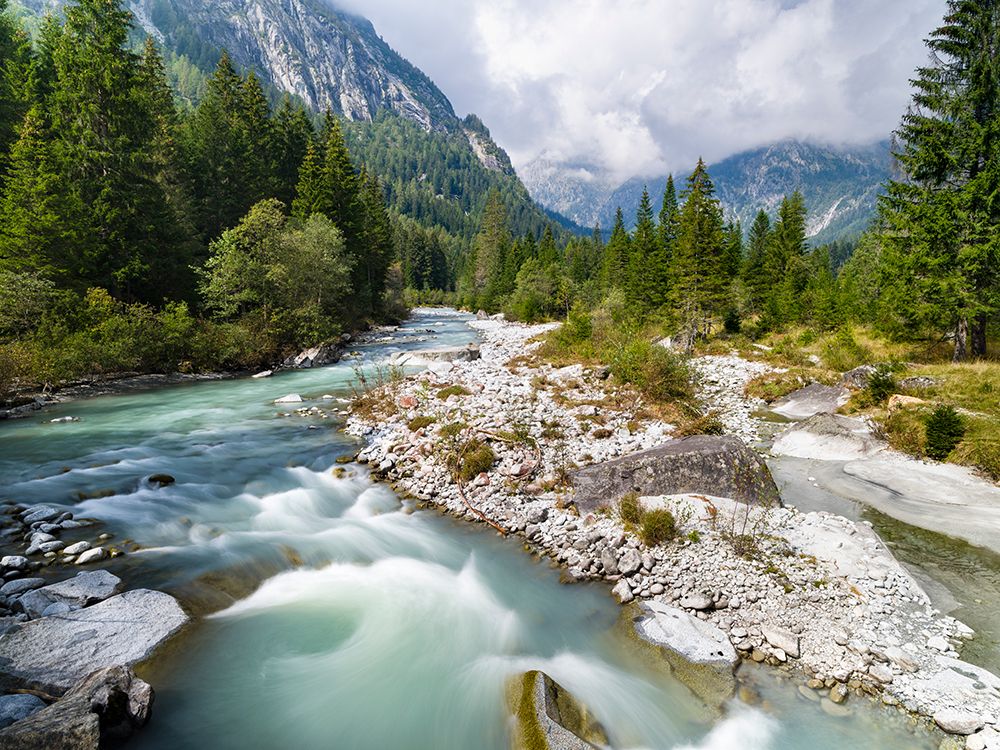River Sarca-Val di Genova in the Parco Naturale Adamello-Brenta-Trentino-Italy-Val Rendena art print by Martin Zwick for $57.95 CAD