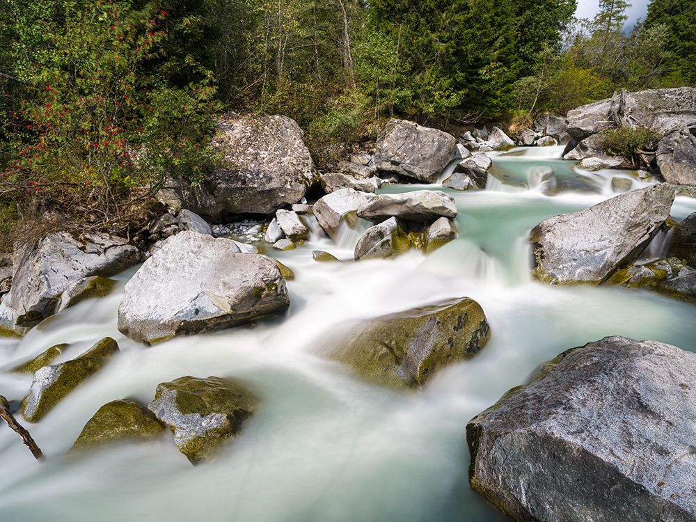 River Sarca-Val di Genova in the Parco Naturale Adamello-Brenta-Trentino-Italy-Val Rendena art print by Martin Zwick for $57.95 CAD