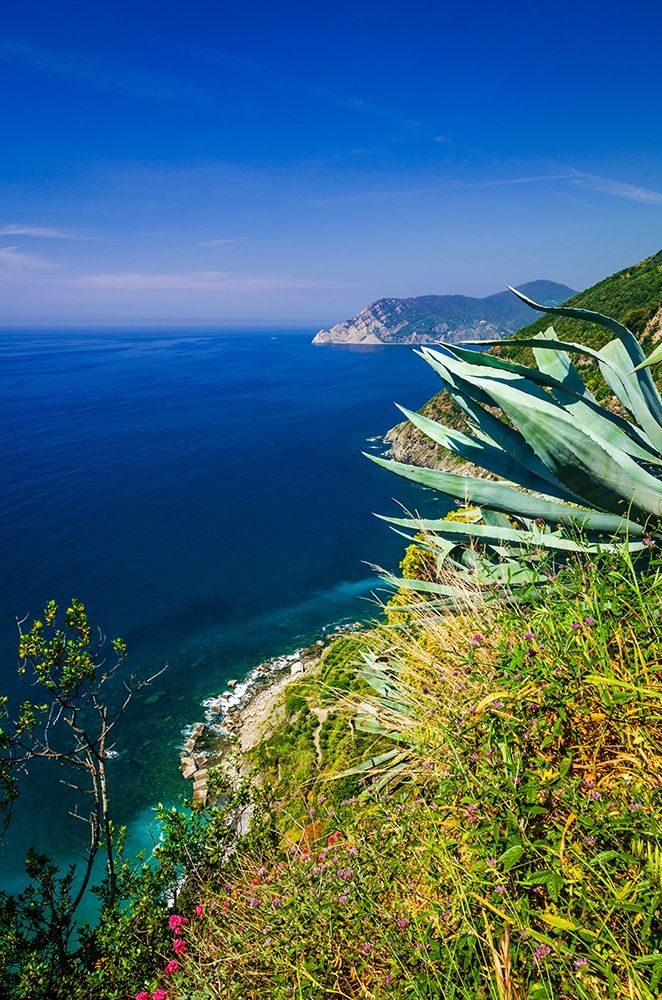 The Ligurian Sea from the Sentiero Azzurro (Blue Trail) near Vernazza-Cinque Terre-Liguria-Italy art print by Russ Bishop for $57.95 CAD