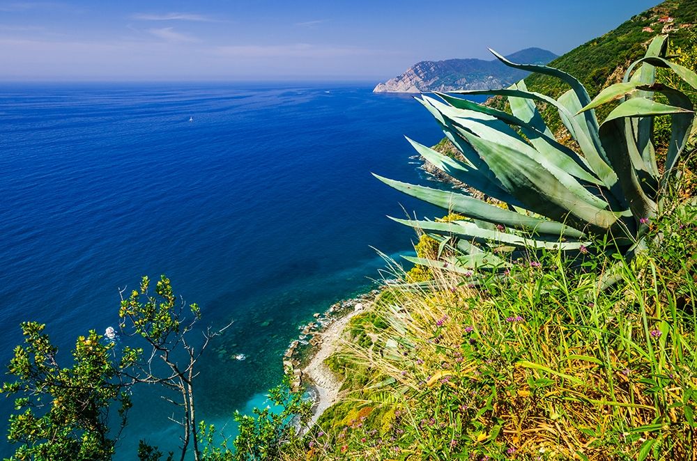 The Ligurian Sea from the Sentiero Azzurro (Blue Trail) near Vernazza-Cinque Terre-Liguria-Italy art print by Russ Bishop for $57.95 CAD