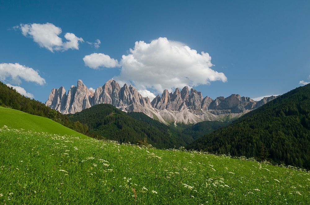 A view of Odle Group mountain from the Funes valley Funes-Trentino Alto Adige-Italy art print by Sergio Pitamitz for $57.95 CAD