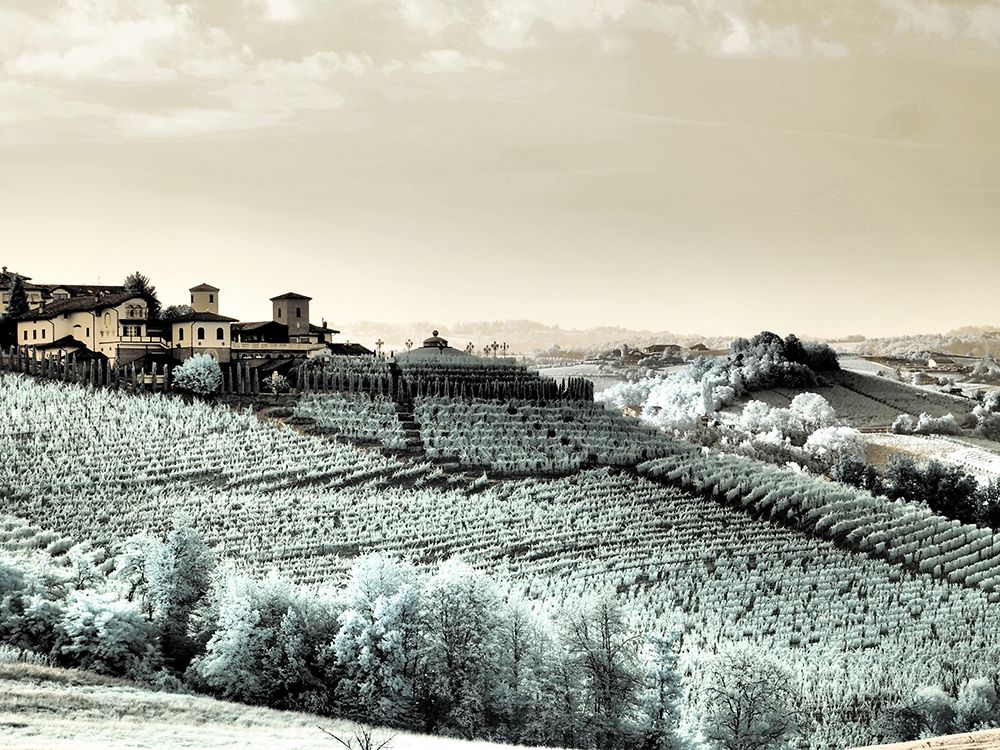 Italy, Pedemonte, Langhe, Barolo. Vineyards art print by Terry Eggers for $57.95 CAD