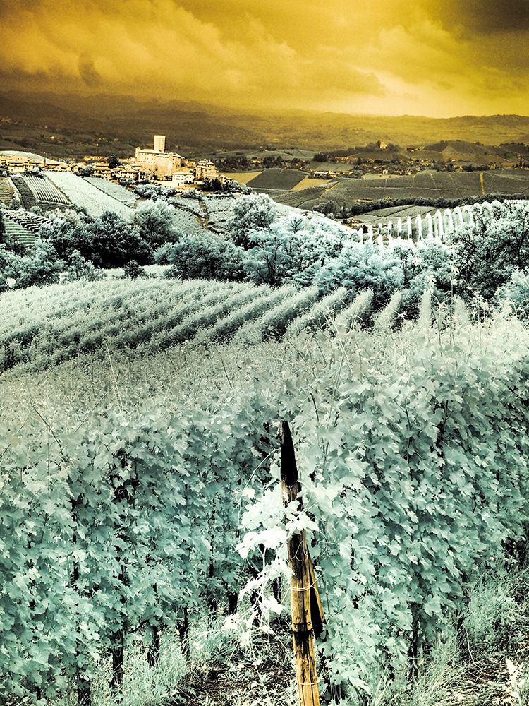 Italy, Pedemonte, Langhe, Perno. Infrared of vineyards. art print by Terry Eggers for $57.95 CAD