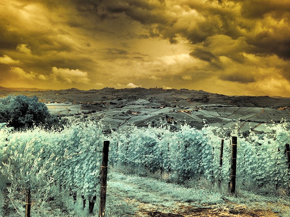 Italy, Pedemonte, Langhe, Perno. Infrared of vineyards. art print by Terry Eggers for $57.95 CAD