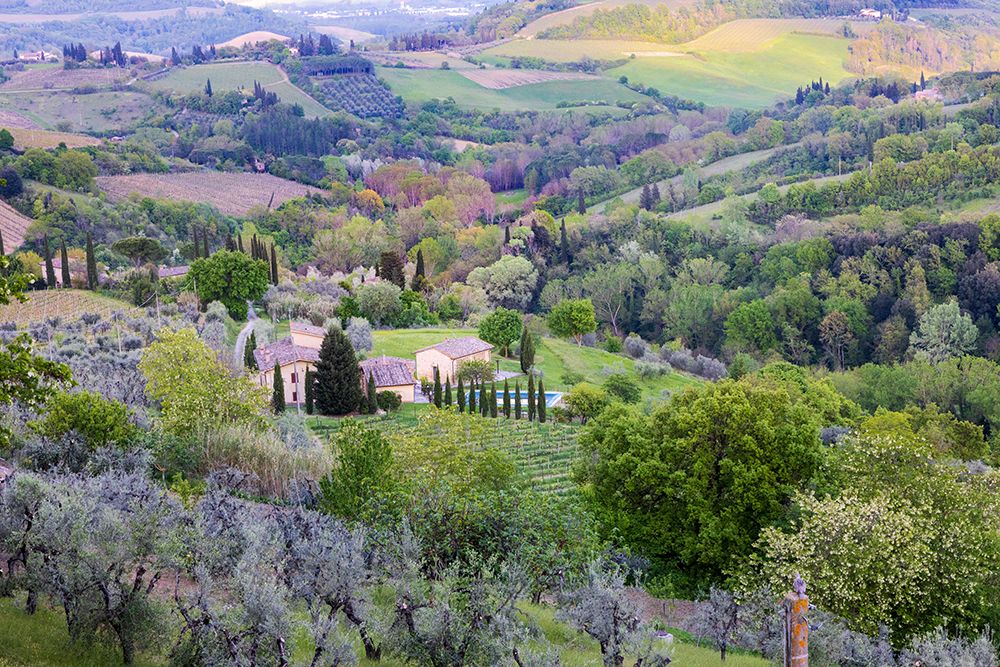Landscape view from the top of the walls of San Gimignano. Tuscany-Italy. art print by Tom Norring for $57.95 CAD