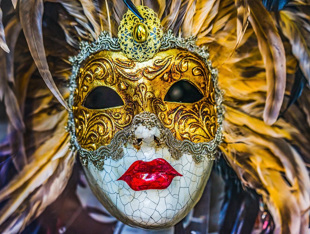 White golden Venetian mask feathers-Venice-Italy-Used since 1200s for Carnival-Also used for Mardi art print by William Perry for $57.95 CAD
