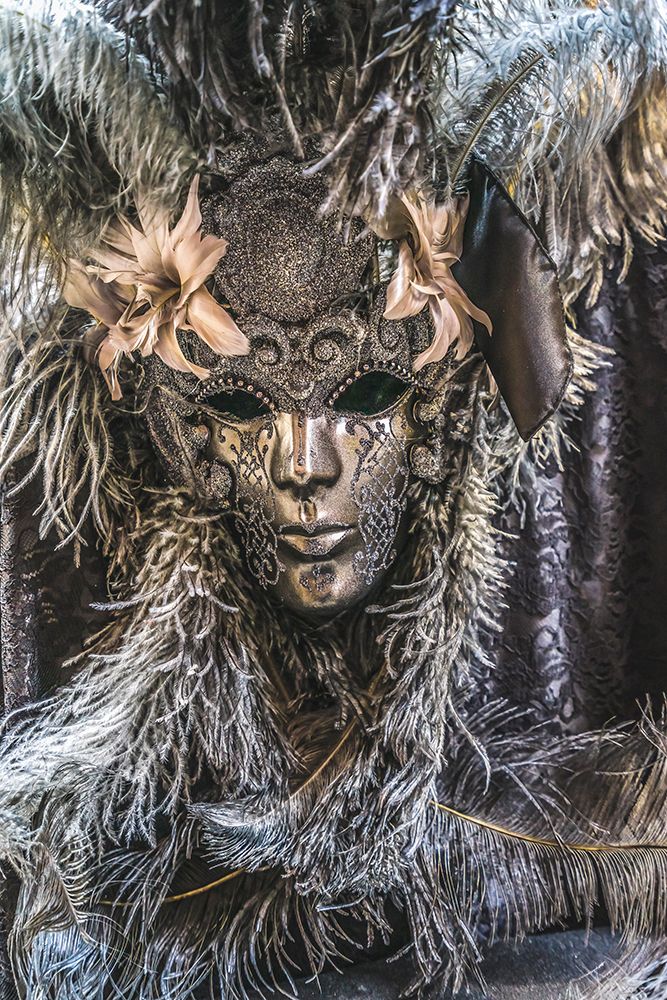 Silver Venetian mask feathers-Venice-Italy-Used since 1200s for Carnival-Also used for Mardi Gras art print by William Perry for $57.95 CAD