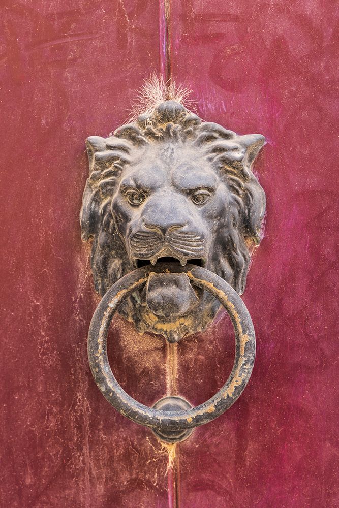 Malta, Mdina. Knocker in the shape of a lions head. art print by Emily M. Wilson for $57.95 CAD