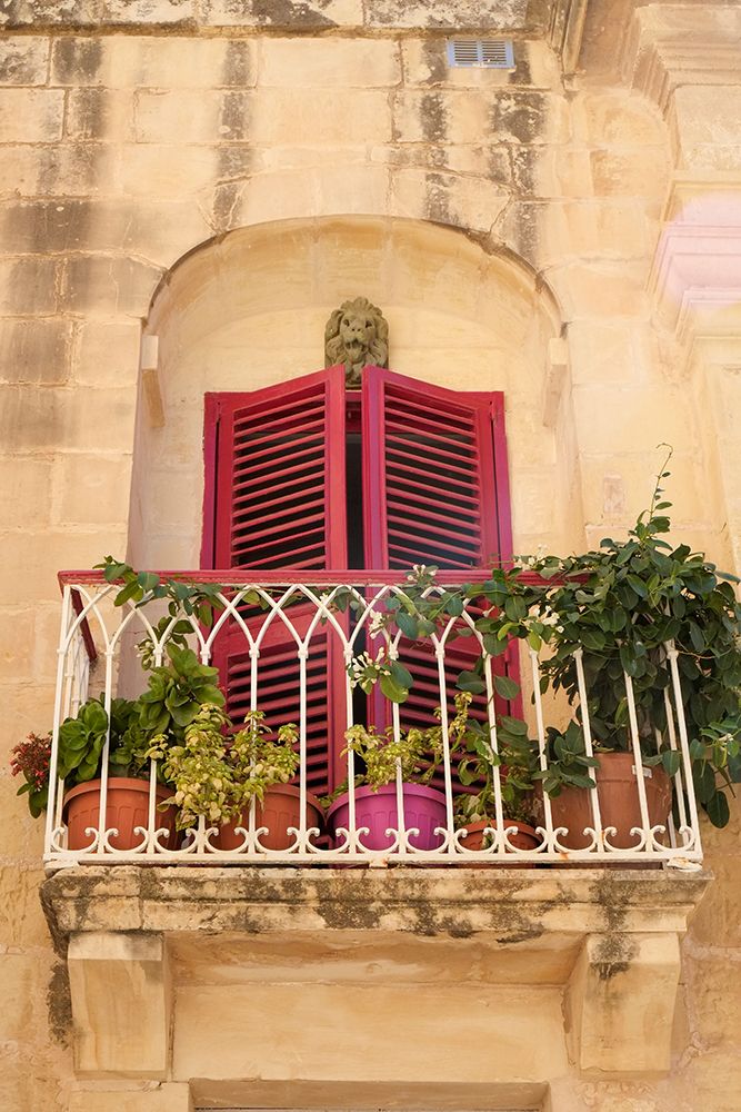Mdina, Malta. Beautiful rose colored shutters on a window found on the streets of Mdina. art print by Julien McRoberts for $57.95 CAD