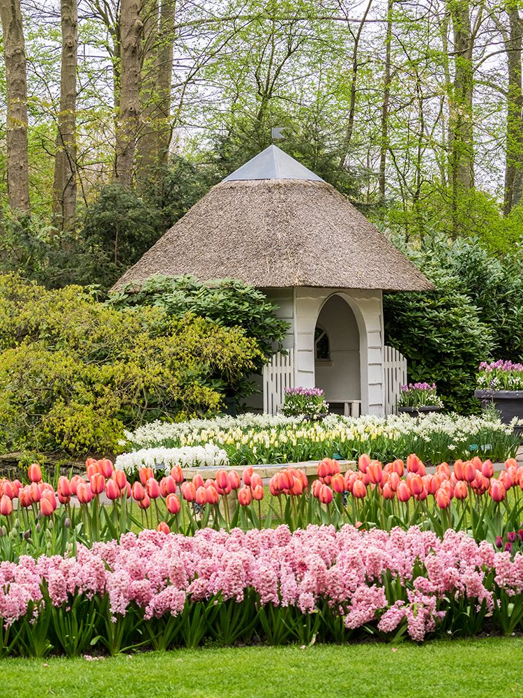 Netherlands-Lisse. Flower displays at Keukenhof Gardens. art print by Julie Eggers for $57.95 CAD