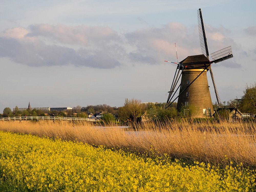 Netherland-Kinderdijk. Windmills along the canal. art print by Julie Eggers for $57.95 CAD