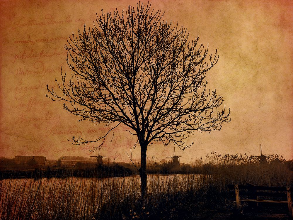 Netherlands-Kinderdijk. Tree along canal at Kinderdijk. art print by Julie Eggers for $57.95 CAD