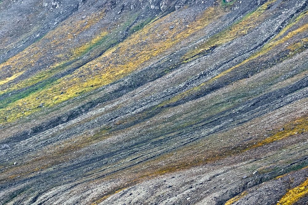 Pattern on mountain slope-Svalbard-Norway art print by Adam Jones for $57.95 CAD