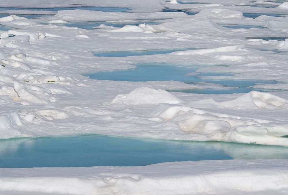 Norway, Svalbard. Pools of meltwater fill depressions in pack ice. art print by Jaynes Gallery for $57.95 CAD