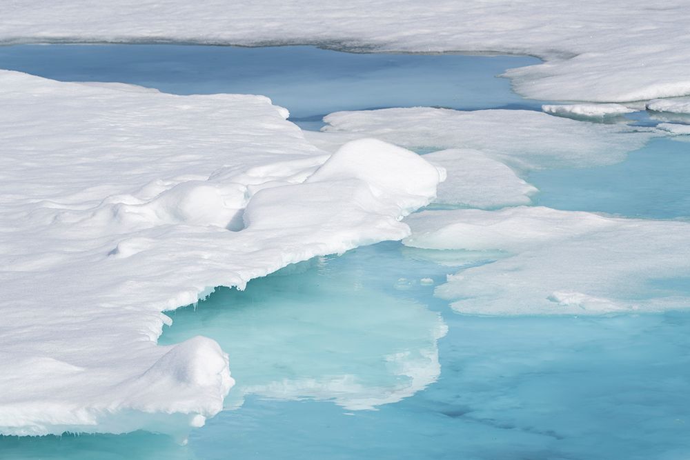 Norway, Svalbard. Pack ice formations. art print by Jaynes Gallery for $57.95 CAD