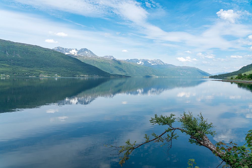 Norway. Storfjorden fjord reflects mountains. art print by Jaynes Gallery for $57.95 CAD