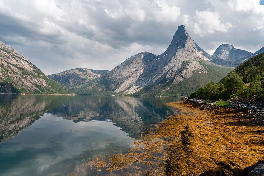 Norway, Narvik. Stetind Mountain and fjord. art print by Jaynes Gallery for $57.95 CAD