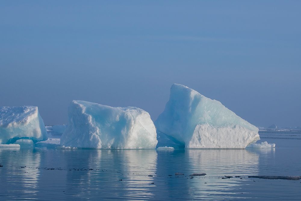 Norway-High Arctic Ice landscape with icebergs art print by Cindy Miller Hopkins for $57.95 CAD