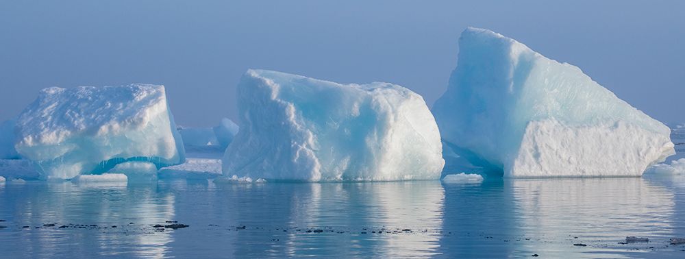 Norway-High Arctic Ice landscape with icebergs art print by Cindy Miller Hopkins for $57.95 CAD
