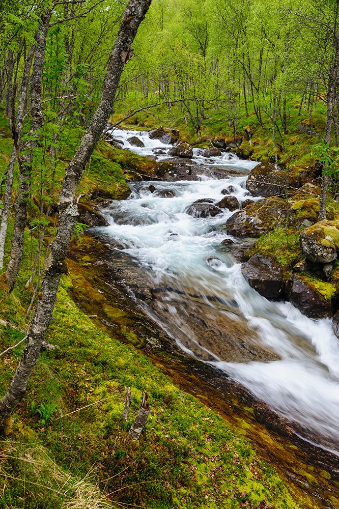 Norway-Nordland-Tysfjord. Storelva-the river that flows from Stetind-Norways national mountain art print by Fredrik Norrsell for $57.95 CAD