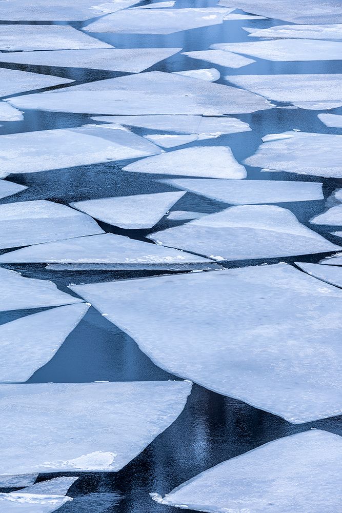 Norway- Lofoten Islands. Broken ice on Lake Storvatent art print by Hollice Looney for $57.95 CAD