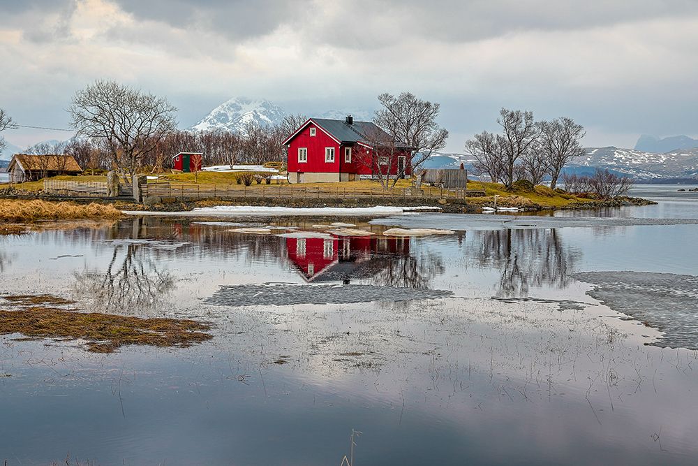 Norway- Lofoten Islands. View across Indrepollen Lake. art print by Hollice Looney for $57.95 CAD