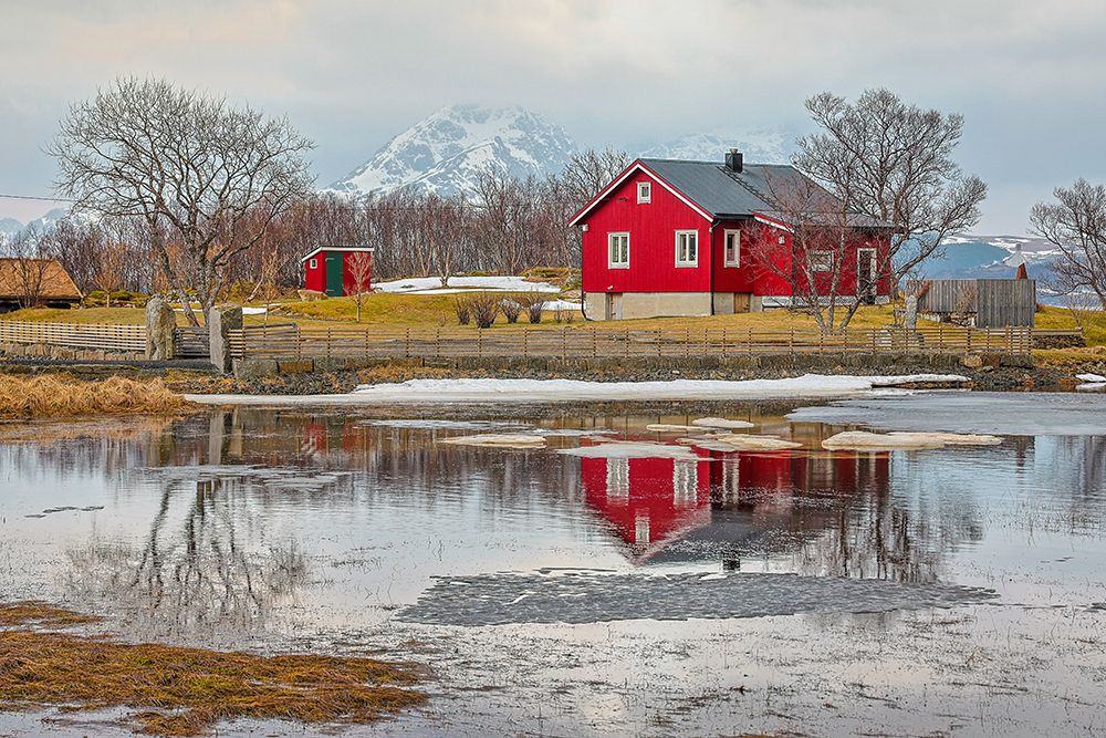 Norway- Lofoten Islands. View across Indrepollen Lake. art print by Hollice Looney for $57.95 CAD