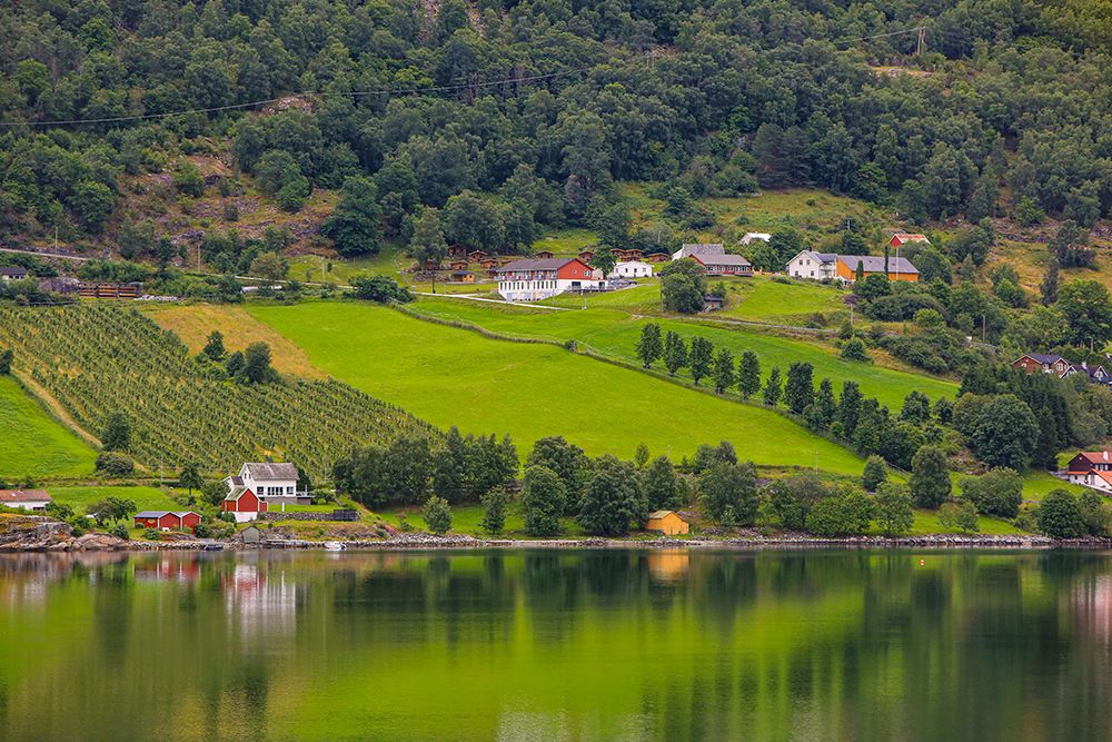Norway, Norwegian Fjords, red barns, green countryside. art print by Jolly Sienda for $57.95 CAD