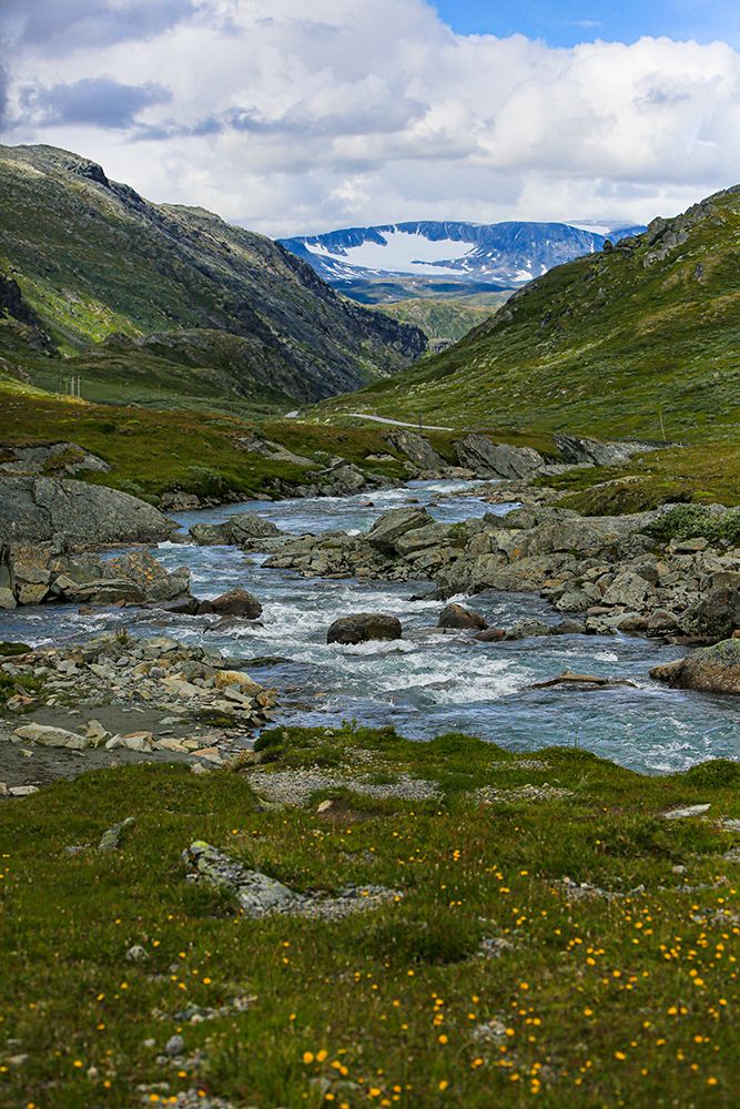 Skjolden, Jotunheimen National Park, Norway. Glacier stream and mountains. art print by Jolly Sienda for $57.95 CAD