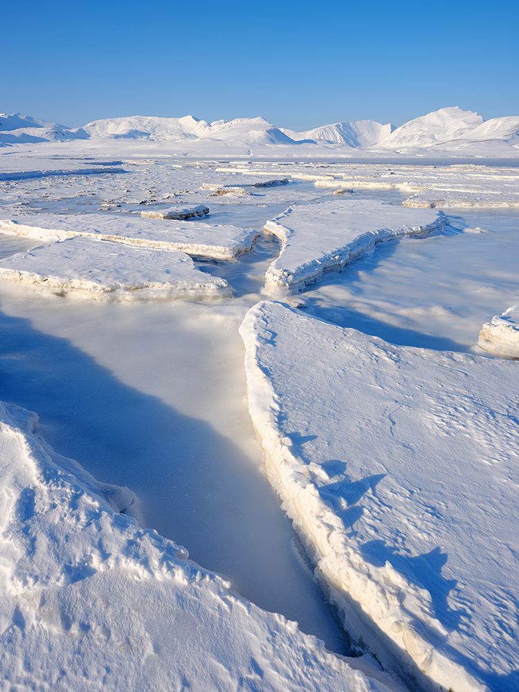 Landscape at frozen Gronfjorden-Island of Spitsbergen Arctic region-Scandinavia-Norway art print by Martin Zwick for $57.95 CAD