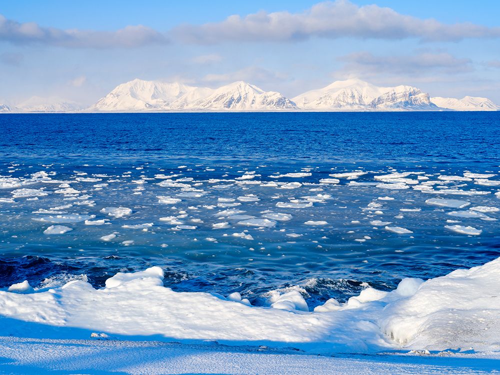Coast with pancake ice near Kapp Linne at fjord Isfjorden-Island of Spitsbergen  Norway-Svalbard art print by Martin Zwick for $57.95 CAD