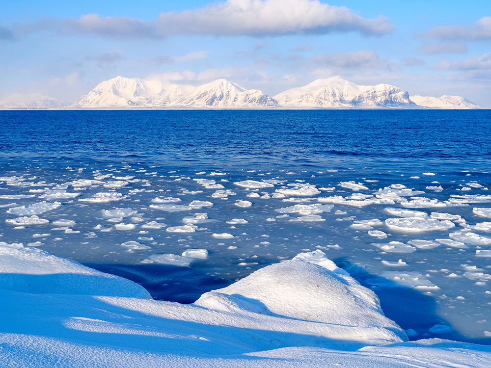 Coast with pancake ice near Kapp Linne at fjord Isfjorden-Island of Spitsbergen  Norway-Svalbard art print by Martin Zwick for $57.95 CAD