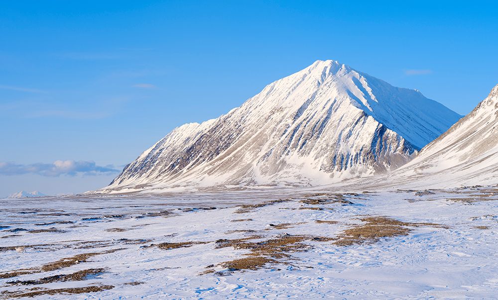 Coastal plain of Nordenskiold Coast Island of Spitsbergen Arctic region-Scandinavia-Norway art print by Martin Zwick for $57.95 CAD