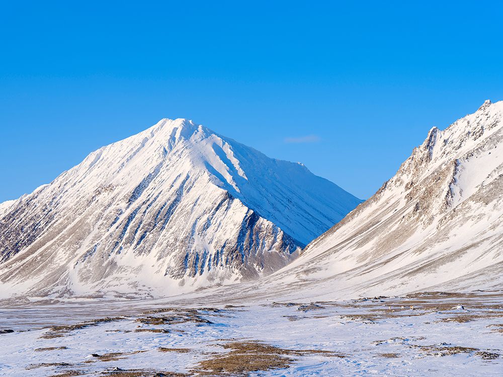 Coastal plain of Nordenskiold Coast Island of Spitsbergen Arctic region-Scandinavia-Norway art print by Martin Zwick for $57.95 CAD