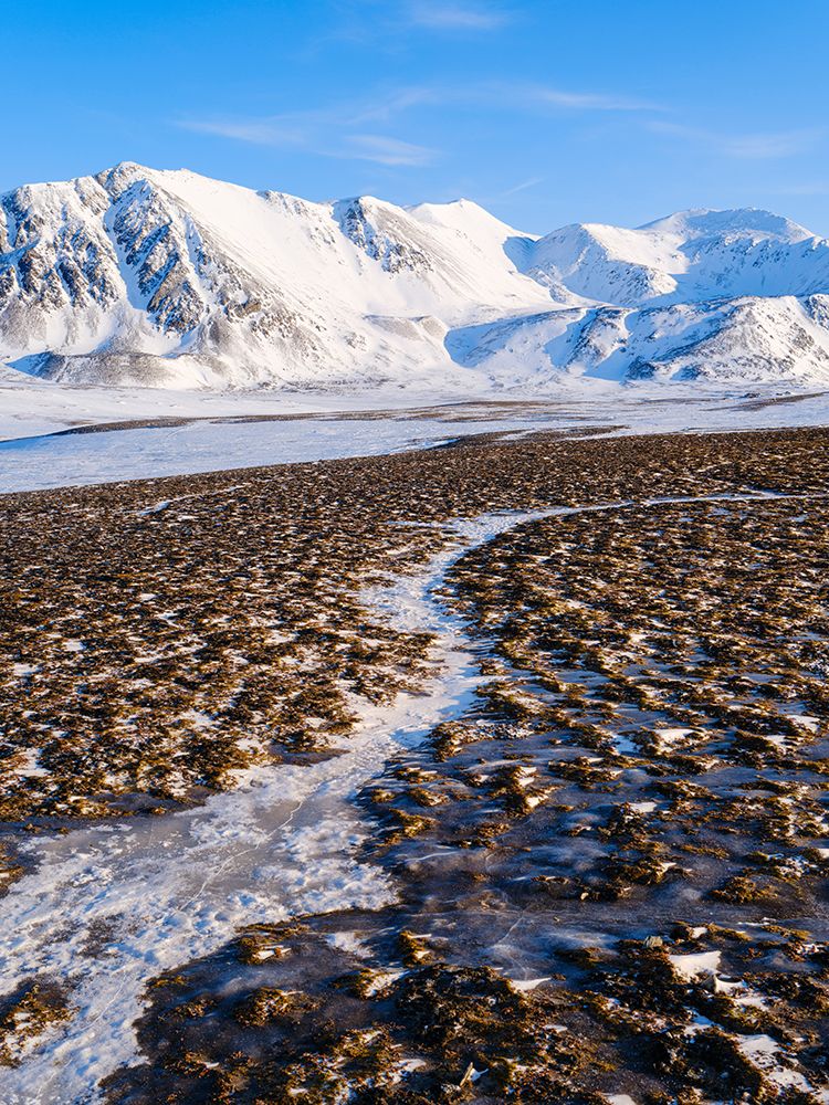 Coastal plain of Nordenskiold Coast Island of Spitsbergen Arctic region-Scandinavia-Norway art print by Martin Zwick for $57.95 CAD