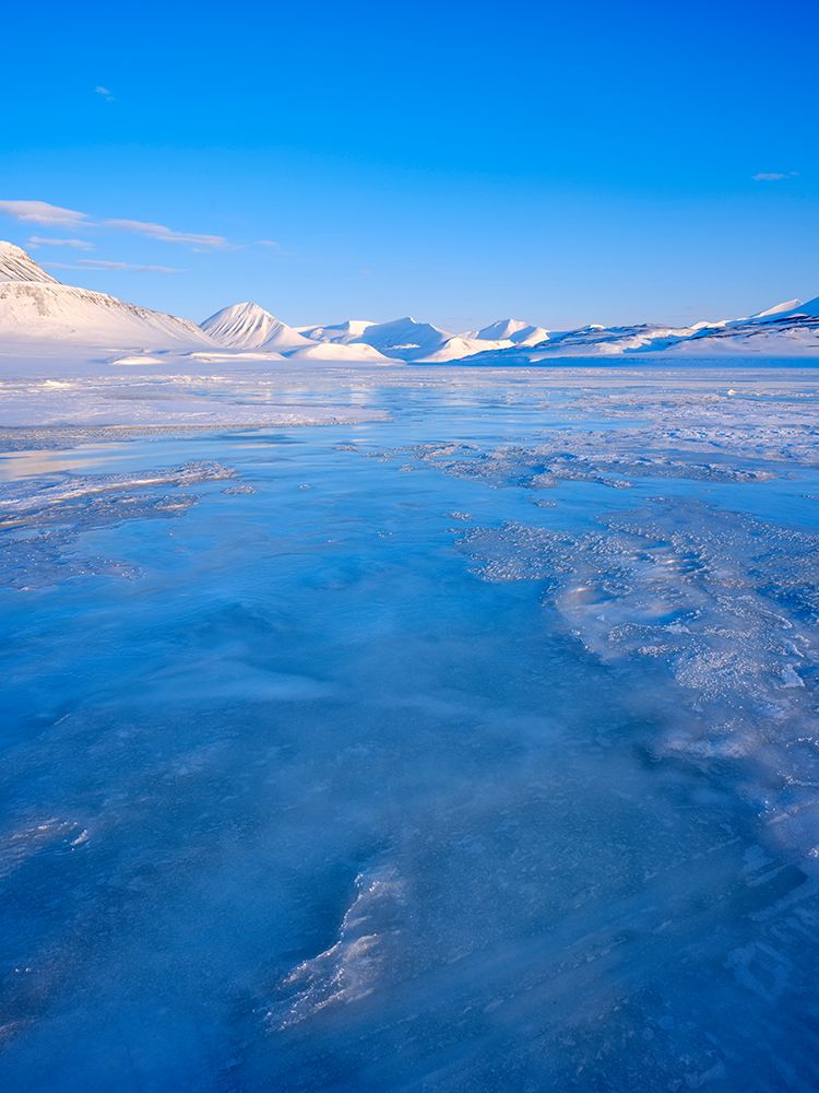 Landscape in Gronfjorden-Island of Spitsbergen Arctic region-Scandinavia-Norway-Svalbard art print by Martin Zwick for $57.95 CAD