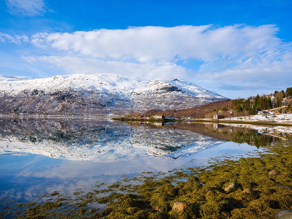 Landscape at Salangen Fjord near Loksebotn in northern Norway during winter. art print by Martin Zwick for $57.95 CAD