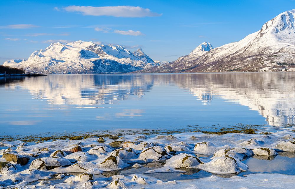 Salangen Fjord near Loksebotn in northern Norway, winter, in the background the island Andorja. art print by Martin Zwick for $57.95 CAD