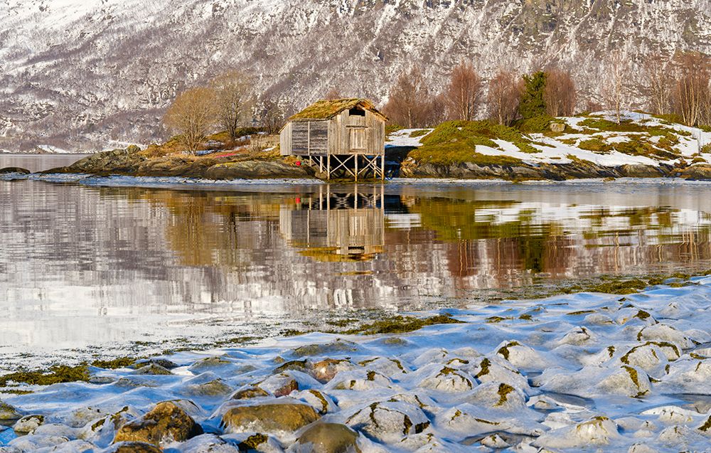 Landscape at Salangen Fjord near Loksebotn in northern Norway during winter. art print by Martin Zwick for $57.95 CAD