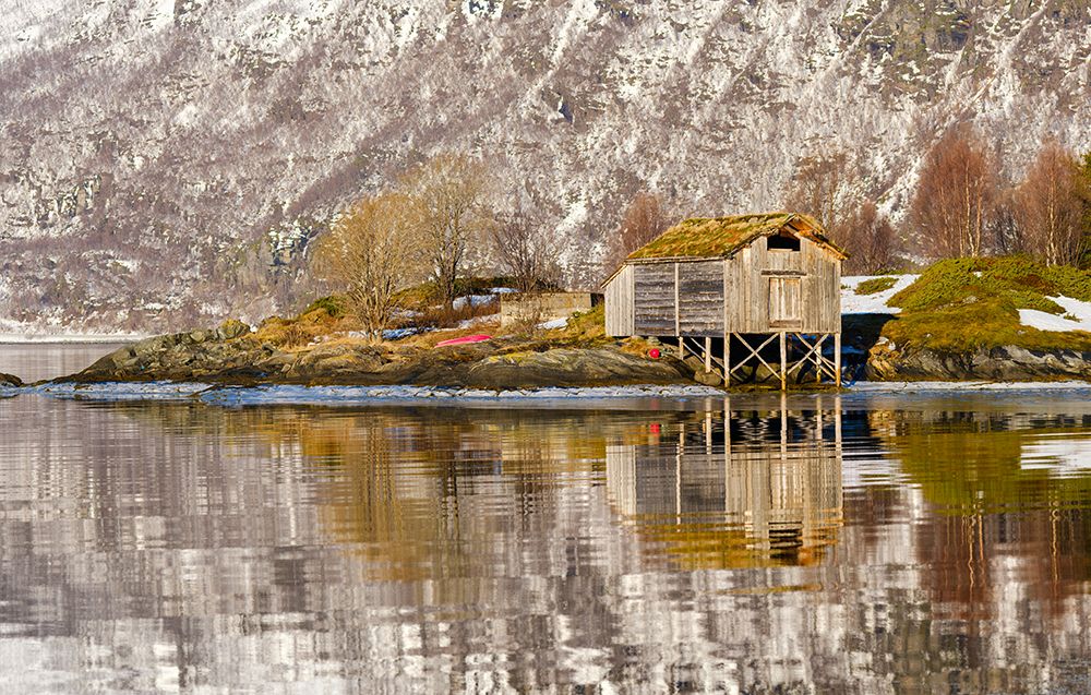 Landscape at Salangen Fjord near Loksebotn in northern Norway during winter. art print by Martin Zwick for $57.95 CAD