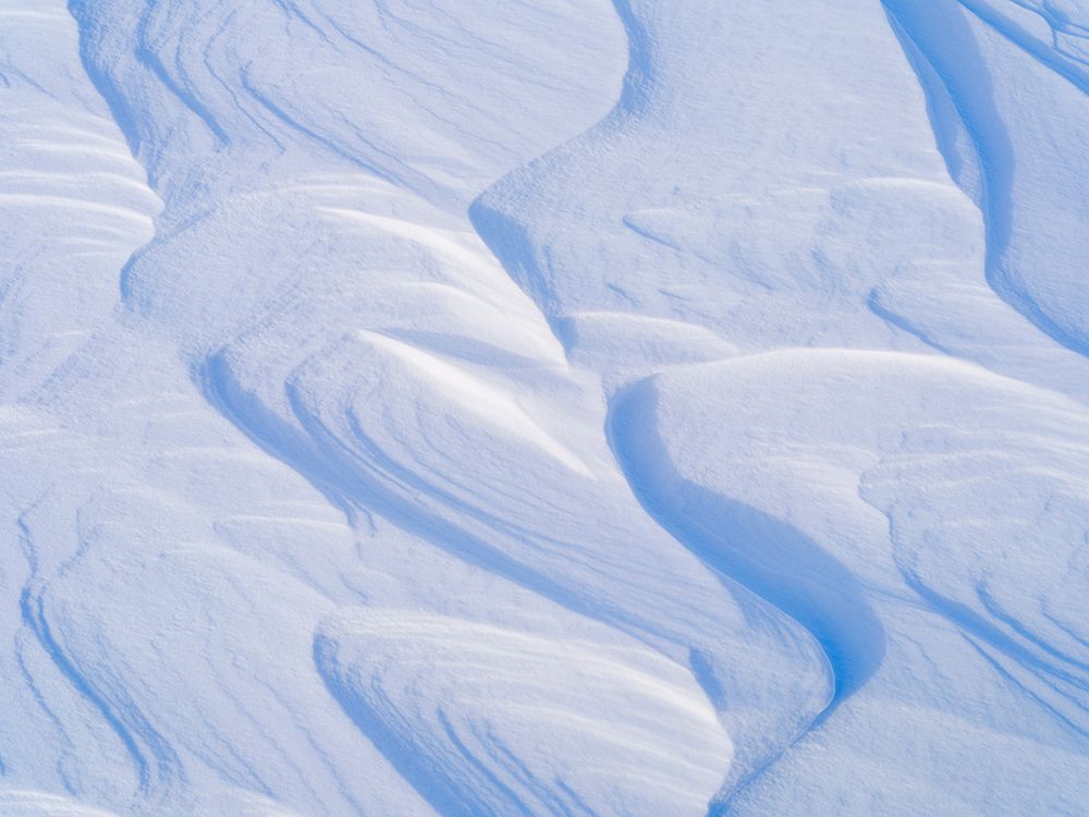 Wind erosion in snow, glaciers Rabotbreen and Konigsbergbreen, Spitzbergen, Svalbard, Norway. art print by Martin Zwick for $57.95 CAD