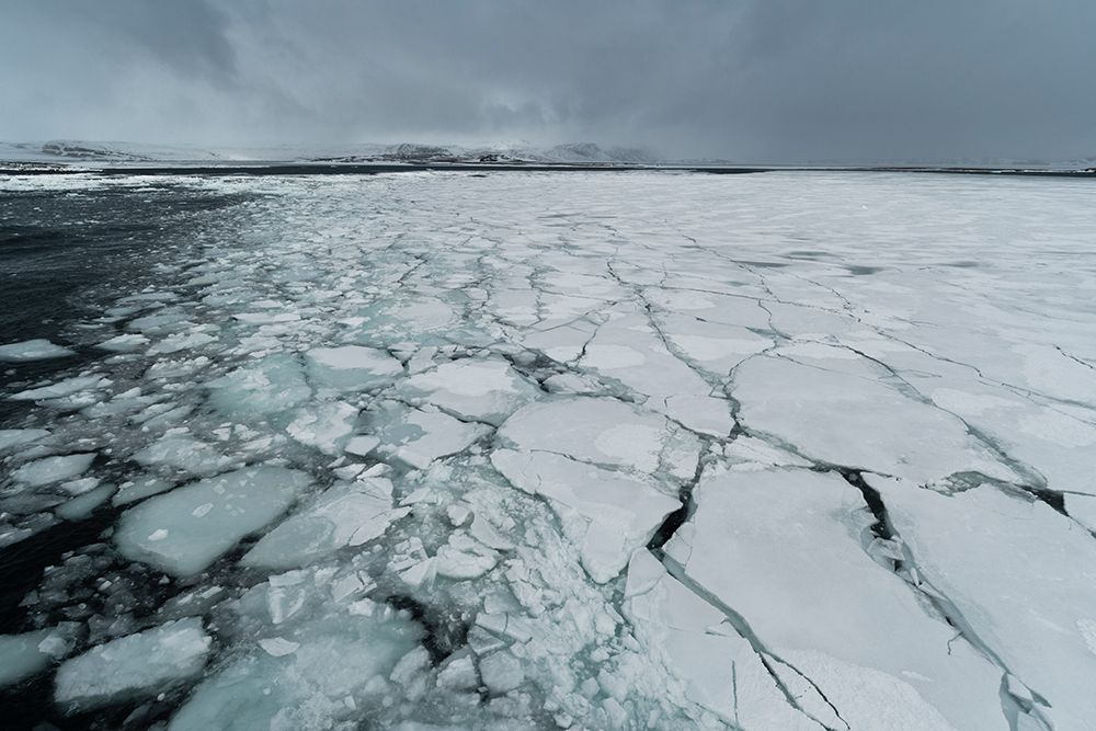 Murchison Bay-Murchisonfjorden-Nordaustlandet-Svalbard Islands-Norway art print by Sergio Pitamitz for $57.95 CAD