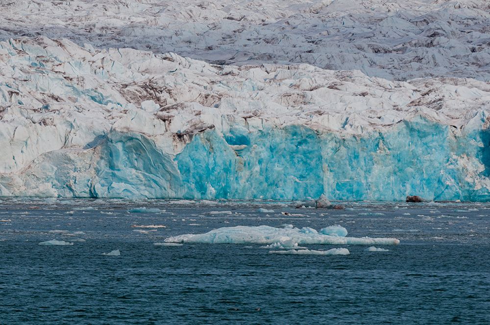 Walruses on ice floe fronting a glacier on Kongsfjorden near Ny-Alesund Spitsbergen Island-Norway art print by Sergio Pitamitz for $57.95 CAD