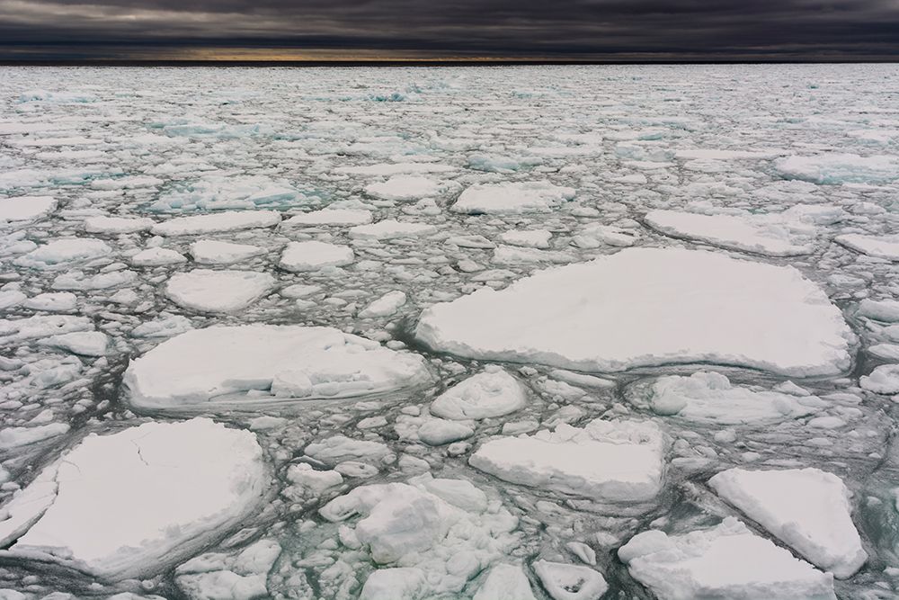 A view of melting sea ice on the Arctic Ocean North polar ice cap-Arctic Ocean art print by Sergio Pitamitz for $57.95 CAD
