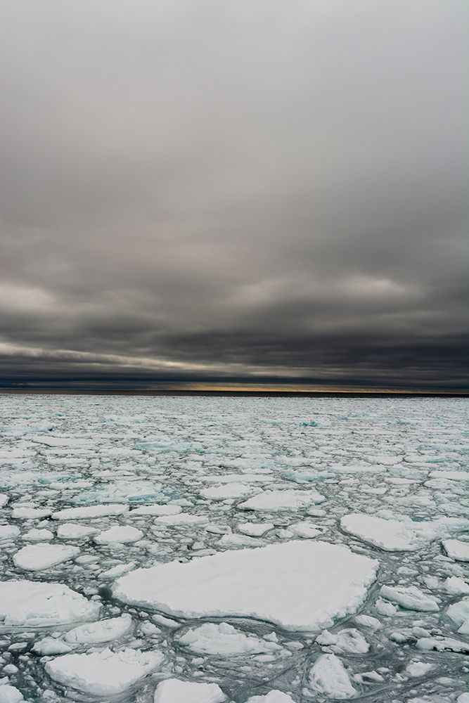 Melting Arctic sea ice North polar ice cap-Arctic Ocean art print by Sergio Pitamitz for $57.95 CAD