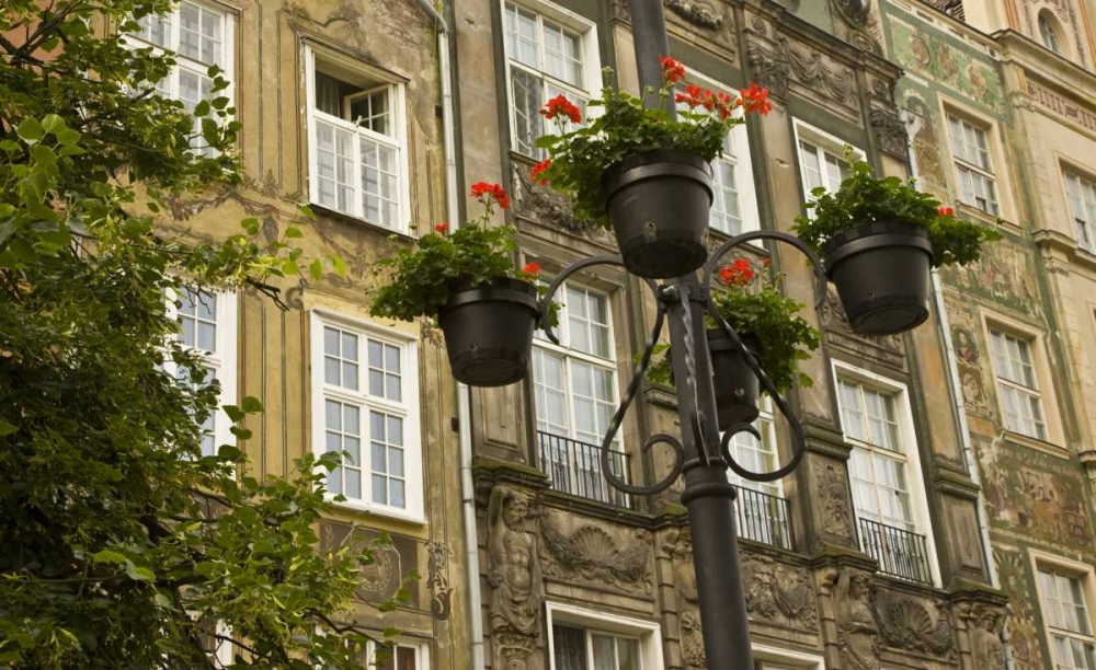 Poland, Gdansk Flower pots decorate buildings art print by Nancy, Steve Ross for $57.95 CAD
