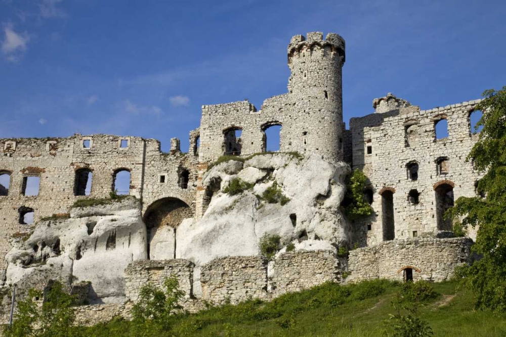 Poland Close-up of Ogrodzieniec Castle art print by Jim Zuckerman for $57.95 CAD