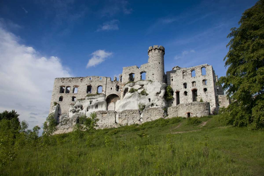 Poland View of Ogrodzieniec Castle art print by Jim Zuckerman for $57.95 CAD